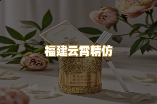 福建云霄精仿